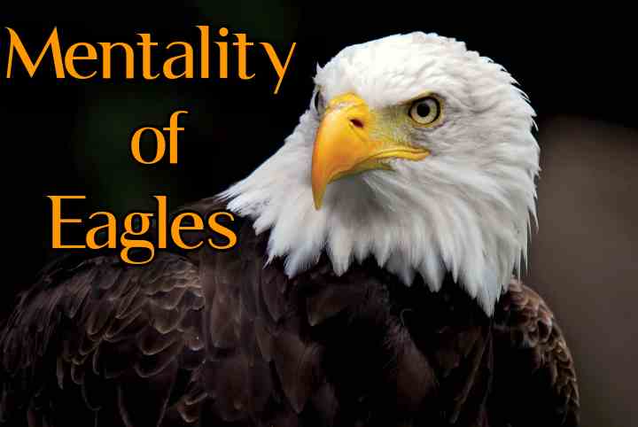 Eagle’s Mentality: Mindset that helps & changes our Life