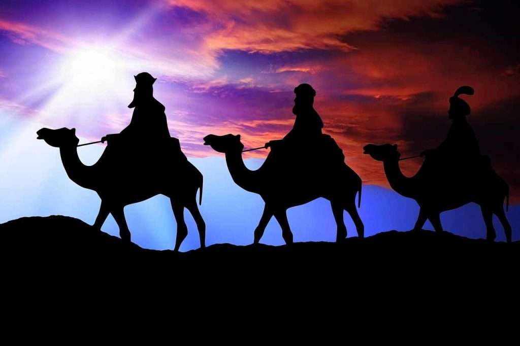 Six Life Lessons we can Learn from Camels