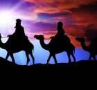 Six Life Lessons we can Learn from Camels